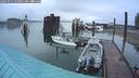 ./images/quadra/hbidock/20240914/hbidock20240914_070001M.jpg