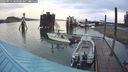 ./images/quadra/hbidock/20240914/hbidock20240914_080500M.jpg