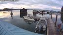 ./images/quadra/hbidock/20240914/hbidock20240914_195001M.jpg