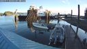 ./images/quadra/hbidock/20240915/hbidock20240915_084001M.jpg