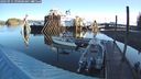 ./images/quadra/hbidock/20240915/hbidock20240915_090001M.jpg