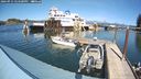 ./images/quadra/hbidock/20240915/hbidock20240915_144501M.jpg
