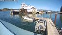 ./images/quadra/hbidock/20240915/hbidock20240915_145002M.jpg