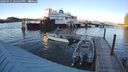 ./images/quadra/hbidock/20240915/hbidock20240915_184500M.jpg