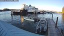 ./images/quadra/hbidock/20240915/hbidock20240915_184502M.jpg