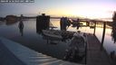 ./images/quadra/hbidock/20240916/hbidock20240916_063001M.jpg
