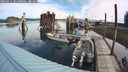 ./images/quadra/hbidock/20240916/hbidock20240916_101501M.jpg