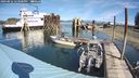 ./images/quadra/hbidock/20240916/hbidock20240916_123500M.jpg