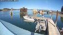 ./images/quadra/hbidock/20240916/hbidock20240916_143001M.jpg