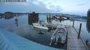 ./images/quadra/hbidock/20240916/hbidock20240916_193501M.jpg