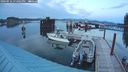 ./images/quadra/hbidock/20240916/hbidock20240916_194001M.jpg