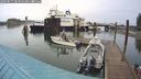 ./images/quadra/hbidock/20240917/hbidock20240917_084000M.jpg