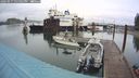 ./images/quadra/hbidock/20240917/hbidock20240917_151002M.jpg