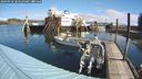 ./images/quadra/hbidock/20240918/hbidock20240918_104500M.jpg