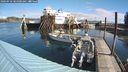 ./images/quadra/hbidock/20240918/hbidock20240918_104501M.jpg