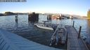 ./images/quadra/hbidock/20240918/hbidock20240918_183001M.jpg