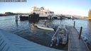 ./images/quadra/hbidock/20240918/hbidock20240918_183501M.jpg