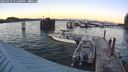 ./images/quadra/hbidock/20240918/hbidock20240918_191501M.jpg