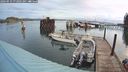 ./images/quadra/hbidock/20240919/hbidock20240919_072001M.jpg