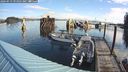 ./images/quadra/hbidock/20240919/hbidock20240919_094002M.jpg