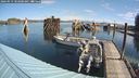 ./images/quadra/hbidock/20240919/hbidock20240919_103001M.jpg