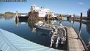 ./images/quadra/hbidock/20240919/hbidock20240919_110501M.jpg