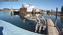 ./images/quadra/hbidock/20240919/hbidock20240919_113001M.jpg