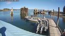 ./images/quadra/hbidock/20240919/hbidock20240919_114500M.jpg
