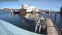 ./images/quadra/hbidock/20240920/hbidock20240920_103501M.jpg