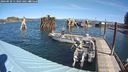 ./images/quadra/hbidock/20240920/hbidock20240920_113002M.jpg