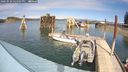 ./images/quadra/hbidock/20240920/hbidock20240920_141502M.jpg