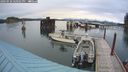 ./images/quadra/hbidock/20240920/hbidock20240920_180501M.jpg