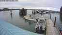 ./images/quadra/hbidock/20240920/hbidock20240920_182502M.jpg