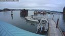 ./images/quadra/hbidock/20240920/hbidock20240920_193001M.jpg