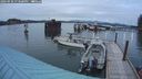 ./images/quadra/hbidock/20240920/hbidock20240920_193501M.jpg