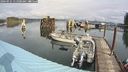 ./images/quadra/hbidock/20240921/hbidock20240921_115000M.jpg