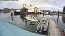 ./images/quadra/hbidock/20240921/hbidock20240921_131000M.jpg
