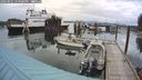 ./images/quadra/hbidock/20240921/hbidock20240921_163000M.jpg