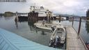 ./images/quadra/hbidock/20240921/hbidock20240921_165001M.jpg
