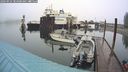 ./images/quadra/hbidock/20240924/hbidock20240924_083500M.jpg
