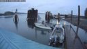 ./images/quadra/hbidock/20240925/hbidock20240925_070502M.jpg