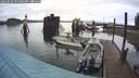./images/quadra/hbidock/20240926/hbidock20240926_091500M.jpg