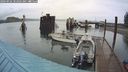 ./images/quadra/hbidock/20240926/hbidock20240926_102501M.jpg