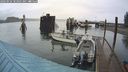 ./images/quadra/hbidock/20240926/hbidock20240926_103001M.jpg