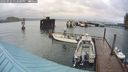 ./images/quadra/hbidock/20240926/hbidock20240926_172500M.jpg