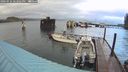 ./images/quadra/hbidock/20240926/hbidock20240926_182001M.jpg