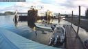 ./images/quadra/hbidock/20240927/hbidock20240927_084502M.jpg