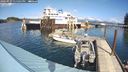 ./images/quadra/hbidock/20240927/hbidock20240927_135001M.jpg