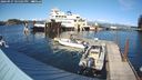 ./images/quadra/hbidock/20240927/hbidock20240927_155501M.jpg