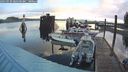 ./images/quadra/hbidock/20240929/hbidock20240929_080500M.jpg